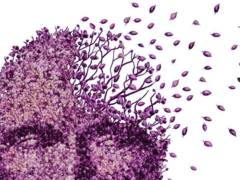 Enfoque paliativo de las caídas en pacientes con demencia