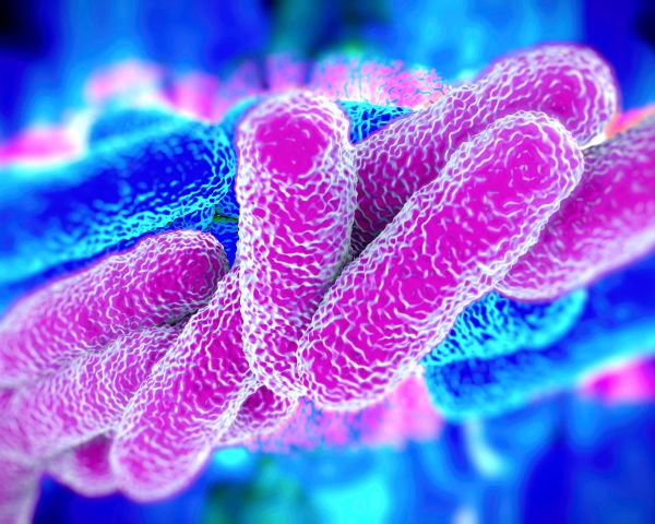 El microbioma en la enfermedad de Crohn