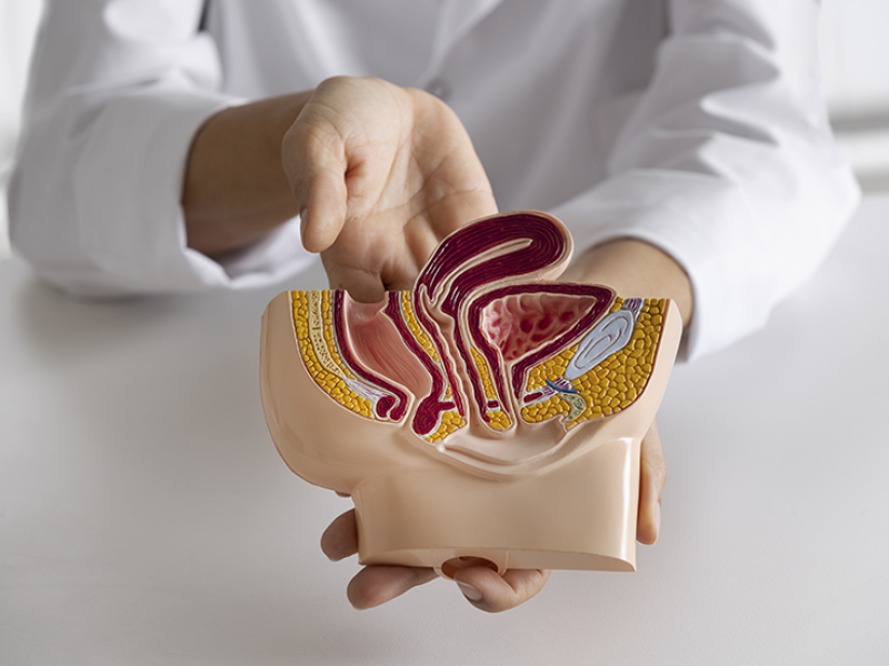 Nuevas opciones de tratamiento en cáncer de vejiga