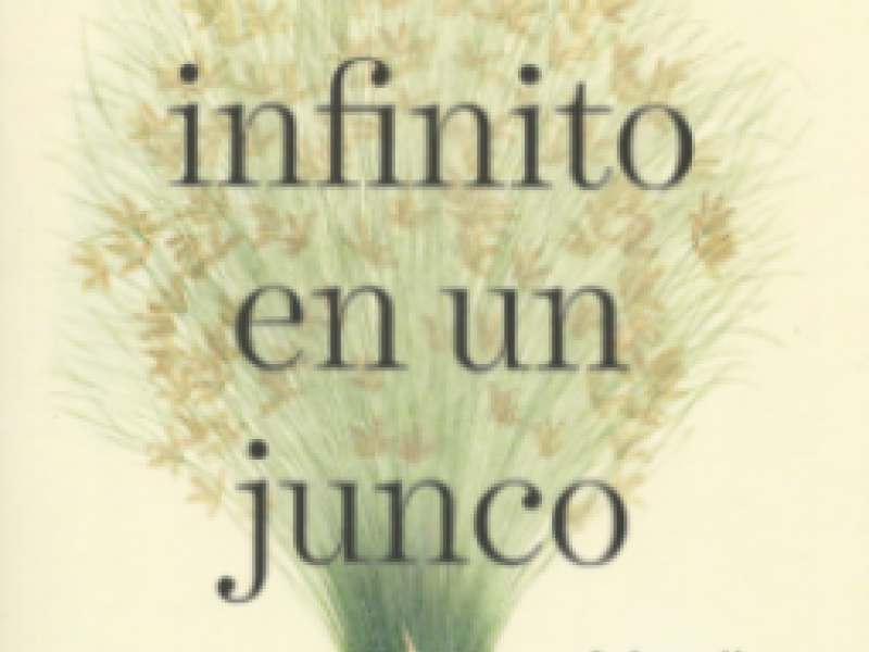 Libro recomendado: El inifinito en un junco