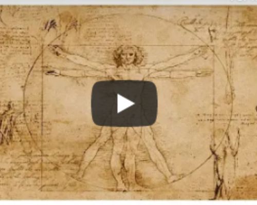 Leonardo Davinci: Anatomista