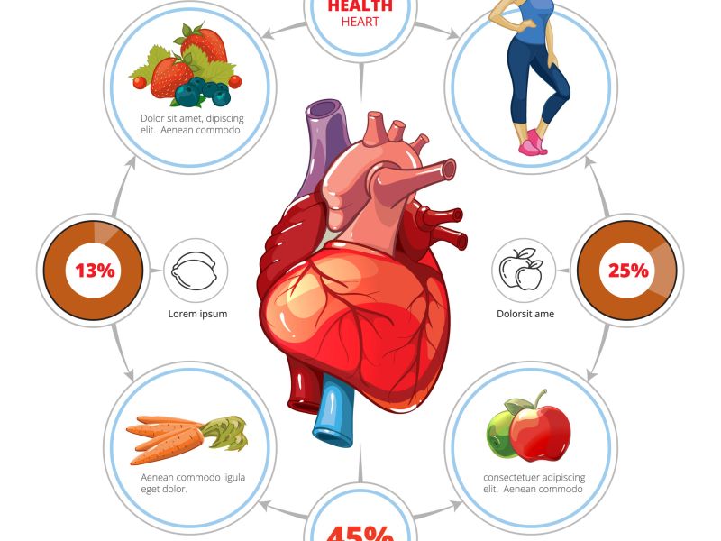 Niveles muy elevados de HDL pueden ser perjudiciales para la salud