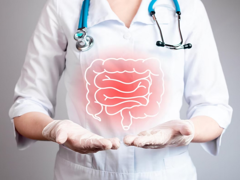 Microbiota y SIBO: Una relación complicada