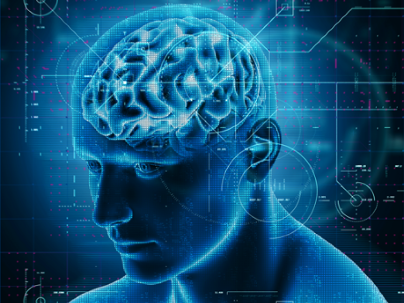 La conexión entre el cerebro y el intestino