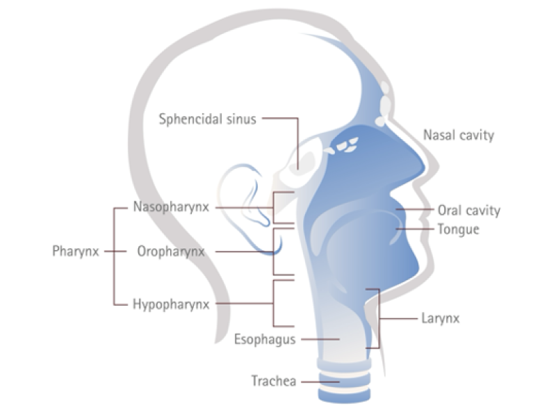 Cáncer de cabeza y cuello