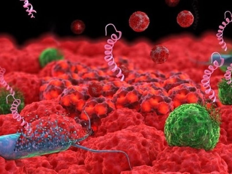 Tratamiento de las enfermedades infecciosas 2020 – 2022