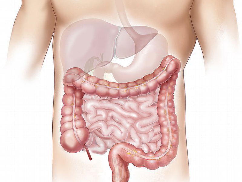 Alteraciones gastrointestinales y hepáticas en pacientes con artritis reumatoidea