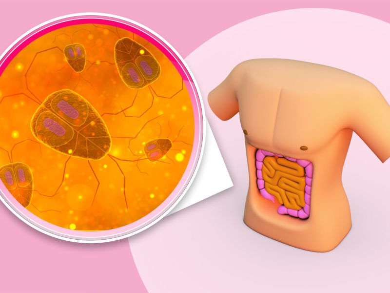 Efecto de los antibióticos en el microbioma intestinal