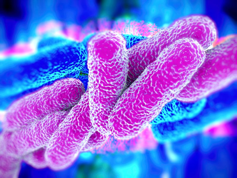 El microbioma en la enfermedad de Crohn