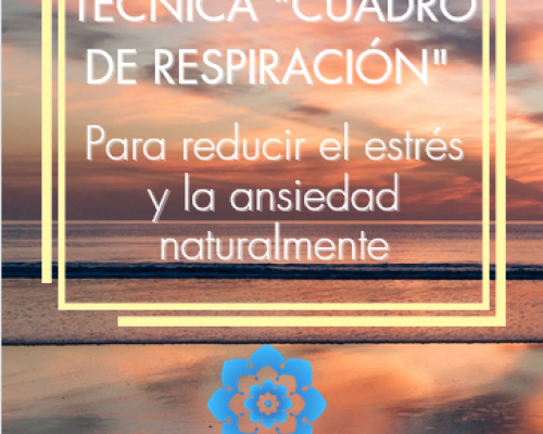 Respira Correctamente