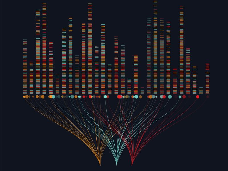 COVID 19: ¿Es posible volver a infectarse después de sufrir la enfermedad?
